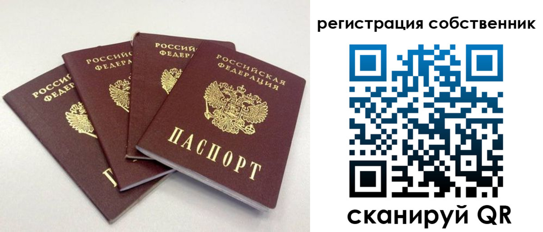 прописка для школы в Можге